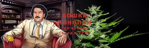 стафф Богородск