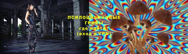 стафф Богородск